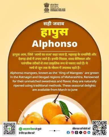 सही जवाब - हापुस / Alphonso

#Agriculture #Agrigoi
#KrishiPaheli