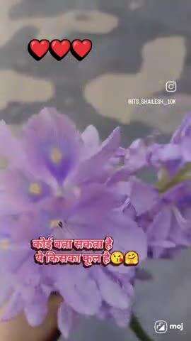 किस का है ये फूल हो रहा खूब वायरल