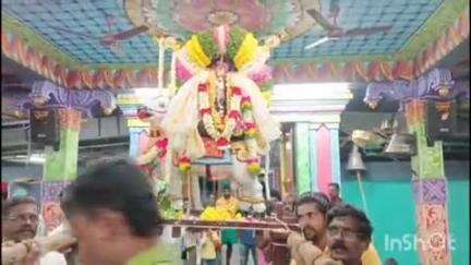 மன்னார்குடி: ஸ்ரீ பால தண்டாயுதபாணி திருக்கோவிலில் செண்பகப்பூ உற்சவம் வெகு விமர்சையாக நடைபெற்றது