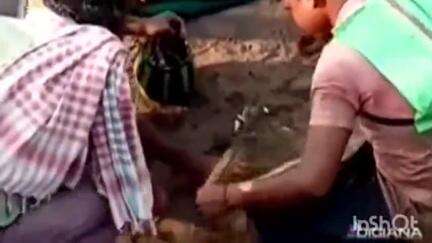 रामानुजगंज: कनहर नदी में बने एनिकट का गेट खुला, मछली पकड़ने के लिए उमड़ी लोगों की भीड़