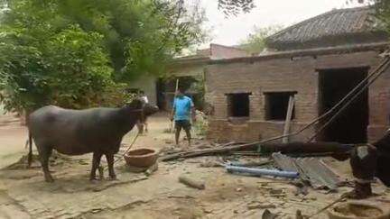 पंधरी यादव ने मेरे घर पर जबरन कब्जा कर रहे है तोड फोड कर |