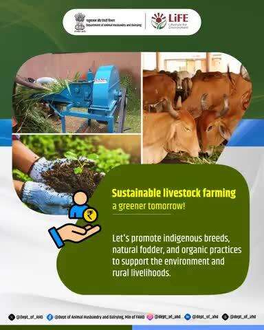 Sustainable Livestock Farming for a Greener Tomorrow!
Let's promote indigenous breeds, natural fodder, and organic practices to reduce our carbon footprint, support rural livelihoods, and create a healthier planet. 
#SustainableFarming