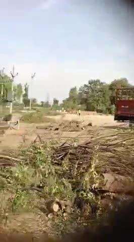 जतारा: जतारा रेंजर ने एक जेसीएम आयशर ट्रक और एक जेसीबी को किया ज़ब्त, डीएफओ और एसडीओ को मुखबिर से मिली सूचना