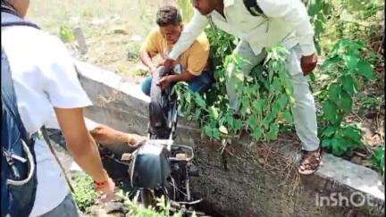 शाजापुर: शाजापुर के काशी नगर में बाइक के सामने कुत्ता आने से बाइक सवार नाले में गिरा