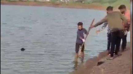 मनासा: मनासा के बड़ा तालाब में नाव पलटने से डूबे युवक का 14 घंटे बाद उतराता हुआ मिला शव