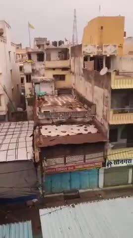 सीहोर नगर: शहर के पान चौराहा गांधी रोड पर दिखा कबर बिज्जू, मचा हड़कंप, वन विभाग को दी सूचना