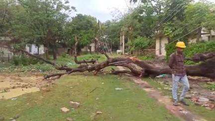 হবিবপুর: রাতে ঝড়-বৃষ্টির সময় বিদ্যুতের তারের উপর পড়ল শুকোনো গাছ, সারা রাত বিদ্যুৎহীন রইল বুলবুলচণ্ডী RN রায় রুরাল হাসপাতাল