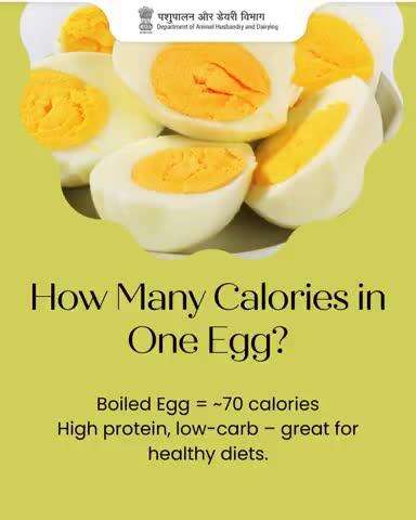 Fuel Your Day with Eggs!
Did you know? A boiled egg packs just ~70 calories – a high-protein, low-carb powerhouse perfect for healthy diets.
Start your morning right – power up with eggs!
#NutritionBoost #EggPower