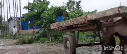 গৰৈমাৰী: সোণতলী-চেঙা সমষ্টিৰ ম'হচৰা সংযোগী সদাব্যস্ত পকী পথৰ পয়ালগা দৃশ্য,পথৰ ঠায়ে ঠায়ে সৃষ্টি হৈছে পুখুৰী সদৃশ গাঁত #jansamasya