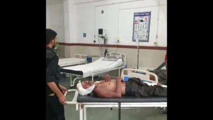पांडुरना: घोगरी साहनी के जंगल में जंगली सूअर का हमला, दो लोग घायल, एक नागपुर रेफर