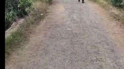 तमकुही राज: सरया खुर्द नहर पर स्थित जर्जर पुल से यात्रा करने में डरते है ग्रामीण, पुल का निर्माण कराने की मांग
*#Jansamasya
