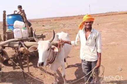 बैराड़: आनंदपुर में ग्रामीण 2 किमी दूर से बैलगाड़ियों से पानी लाने को मजबूर, वीडियो आया सामने