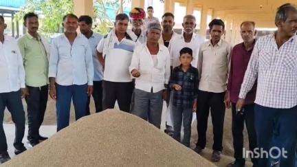 मेड़ता: मेड़ता कृषि उपज मंडी में जीरे के भाव में लगातार गिरावट से किसान चिंतित