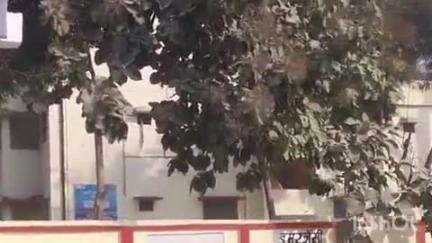 मार्टिनगंज: बरदह पुलिस ने तम्मरपुर गांव निवासी पीड़ित की सूचना पर मारपीट के गंभीर मामले में किया मुकदमा दर्ज