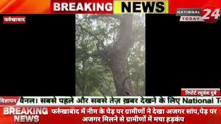फर्रुखाबाद में नीम के पेड़ पर ग्रामीणों ने देखा अजगर सांप,पेड़ पर अजगर मिलने से ग्रामीणों में मचा हड़कंप। 

#nationaltod