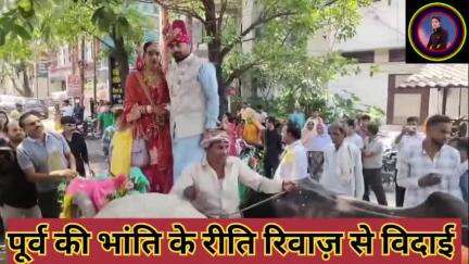 #झाँसी  इंजीनियर दूल्हा और शिक्षिका #दुल्हन की बैलगाड़ी से हुई पारंपरिक #विदाई, हाईटेक दौर में बनी चर्चा का विषय