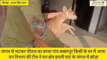 जंगल से भटकर चीतल का बच्चा गांव बब्बरपुर किसी के घर में आया, वन विभाग की टीम वन क्षेत्र इमली घाट के जंगल में छोड़ा