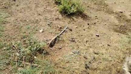 नल जल योजना सब कुछ बेकार