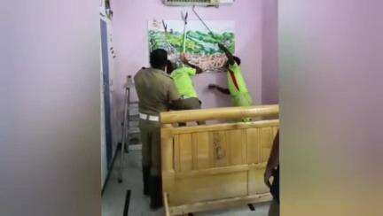 சிவகாசி: அம்மன் நகரில் வீட்டுக்குள் புகுந்து ஏசி இயந்திரத்துக்குள் தஞ்சமடைந்த 6அடி நீள சாரைப் பாம்பை நீண்ட நேரம் போராடி பிடித்த தீயணைப்புத் துறையினர்