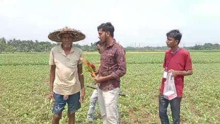 শান্তিপুর: আন্তর্জাতিক শ্রমিক দিবসে সূর্য পরিবার ফাউন্ডেশনের উদ্যোগে শান্তিপুরের শ্রমজীবী মানুষদের সংবর্ধনা প্রদান