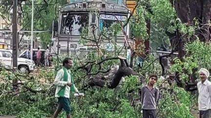 गंडई में अचानक बदला मौसम, तेज हवाओं ने मचाई अफरा-तफरी, पेड़ गिरे, बिजली के तार टूटे, लंबे समय तक रही लाइट गुल
