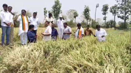 బెల్లంపల్లి: నెన్నల్ మండలంలో అకాల వర్షానికి నష్టపోయిన రైతులకు నష్టపరిహారం అందించి ఆదుకోవాలని డిమాండ్ చేసిన BJP రాష్ట్ర నాయకులు హేమజి