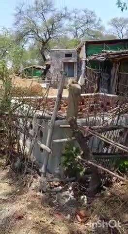 नरसिंहगढ़: शासकीय भूमि पर अतिक्रमण हटाने के लिए अनुविभागीय अधिकारी को ज्ञापन सौंपा गया
