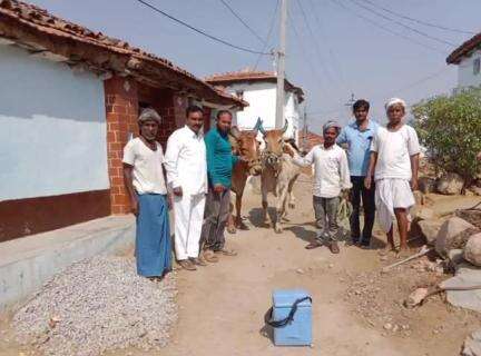 పెద్ద కొడప్​గల్​: కాటిపల్లిలో ఉచిత గాలికుంటు నివారణ టీకాలు