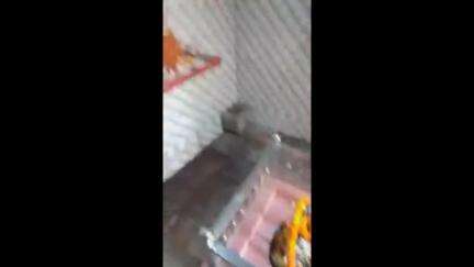 मड़ियाहू: गोपालापुर बाजार में स्थित महादेव मंदिर से घंटा और अखंड ज्योति चोरी, पुलिस जांच में जुटी
