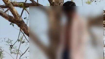 दुधि: टोला हड़बड़िया में पेड़ से लटका मिला एक युवक का शव, पुलिस ने पोस्टमार्टम के लिए भेजा