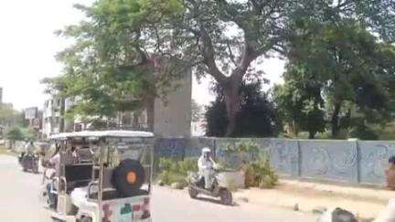 पुलिस लाइन के पास पेड़ की छांव में बैठे युवक पर अचानक गिरी पेड़ की डाल, युवक गंभीर रूप से घायल