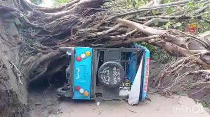বনগাঁ: ঝড়ে গোপালনগর বৈরামপুর পঞ্চায়েত এলাকায় প্রচুর ক্ষয়ক্ষতি , ভেঙ্গে গেছে প্রচুর বাড়ি, গাছ 
#jansamasya