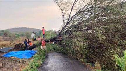 कन्नड: मॉनसूनपूर्व पावसाचा फटका,ठाकरवाडीत दोन ठिकाणी झाडे उन्मळली, रस्ता ठप्प