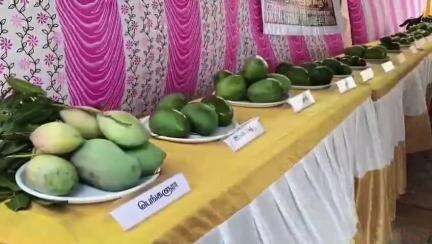 போடிநாயக்கனூர்: போடி CPA கல்லூரியில் 2 நாள் மா சாகுபடி கருத்தரங்கம் - கலெக்டர் ரஞ்சித் சிங் தலைமை வகித்தார்