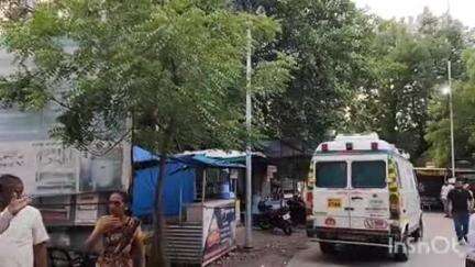 पाचोरा: शहरातील मानसिंगका काॅलनी येथे ३ वर्षीय बालिकेचा मोकाट कुत्र्यांनी चावा घेतला