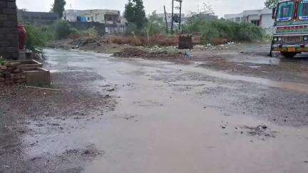લીલીયા: હવામાન વિભાગની આગાહીના પગલે લીલીયા સહિત અમરેલી જિલ્લામાં મેઘો મુશળધાર:ખતી પાકને નુકસાન