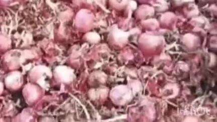 निफाड: पिंपळगाव बसवंत परिसरात वादळी वाऱ्यामुळे बाजार समिती परिसरात अतोनात नुकसान