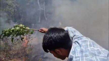 धर्मशाला: इस वर्ष धर्मशाला वन मंडल में फायर सीजन में छह से सात मामले आए सामने, बोले DFO दिनेश शर्मा
