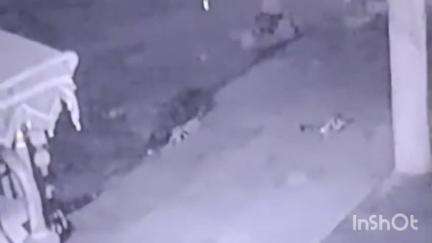 अरनोद: अरनोद कस्बे में एक ही रात दो घरों में चोरी, CCTV में लट्ठ और हथियारों से लैस संदिग्धों की रैकी कैद