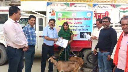 चकिया पिपरा: केसरिया कल्याणपुर सहित 15 प्रखंडों में 38 लाभार्थियों के बीच तीन-तीन बकरियों का किया गया वितरण