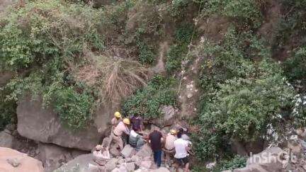 बल्ह: दो आवारा बैलों की लड़ाई में एक बैल 100 फुट गहरे नाले में गिरा, अग्निशमन विभाग ने किया सफल रेस्क्यू