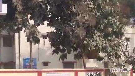 मार्टिनगंज: बरदह पुलिस ने अहरौली गांव निवासी पीड़िता की सूचना पर पैसा वापस न करने के मामले में किया मुकदमा दर्ज