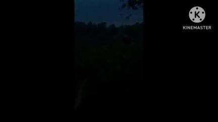 ঝাড়গ্রাম: গোবিন্দপুর এলাকায় দাঁপিয়ে বেড়ালো আনুমানিক ১৫ টি দাঁতাল হাতির একটি দল,নষ্ট ২০ কাঠা জমির ধান চাষ, মাথায় হাত চাষীদের