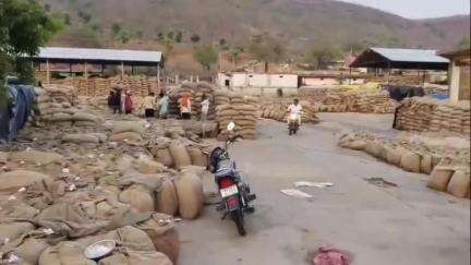 अमानगंज: सलेहा के खरीदी केंद्र में माल परिवहन न होने से किसान परेशान