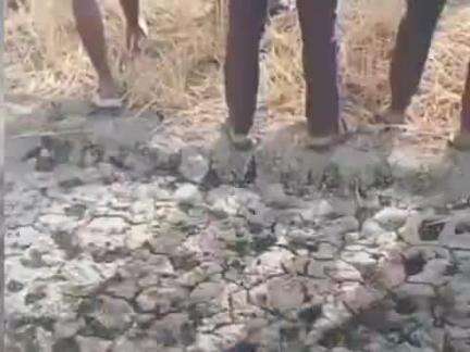 बिल्हौर: ककवन में गौमांस बेचने के आरोप में चार आरोपी गिरफ्तार, चौकी इंचार्ज को किया गया सस्पेंड