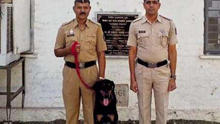 धुळे: श्वान ब्रुटसच्या पराक्रमाने दबीपुरा गढी वंजारी गल्ली परिसरातून चोरट्याला अटक, पोलीस अधीक्षकांची माहिती