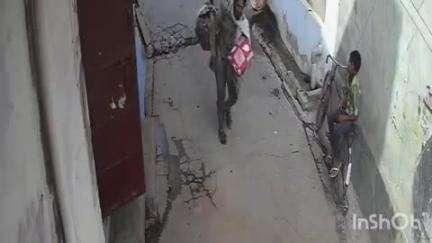 इगलास: इगलास पुरानी तहसील रोड नंबरदार कंपाउंड से साइकिल चुराते हुए चोर सीसीटीवी में कैद, वीडियो हुआ वायरल