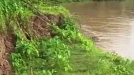 করিমগঞ্জ: তলিয়ে যাচ্ছে লঙ্গাই নদীর বাঁধ,আতঙ্কের প্রহর গুনছেন বিদ্যানগর নয়াগ্রামের হাজার পরিবার #jansamasya