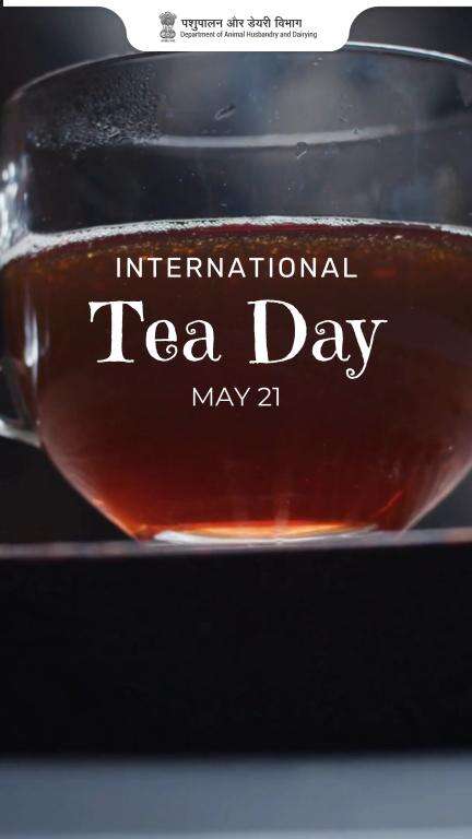 This #InternationalTeaDay, salute the dairy farmers behind every creamy chai!