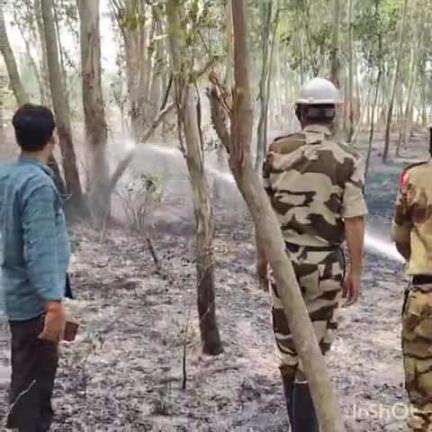 ऊंचाहार: इटौरा बुजुर्ग गाँव में संदिग्ध परिस्थितियों में यूकेलिप्टस की बाग में लगी भीषण आग, सीआईएसएफ की फायर यूनिट ने पाया काबू